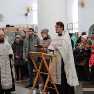 В Спасо-Преображенском кафедральном соборе совершили молебен о семье