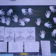 Здоровым быть модно?