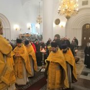 Преосвященный Алексий совершил Литургию в день памяти святителя Спиридона Тримифунтского