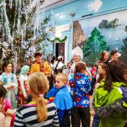 Мудрое сердце