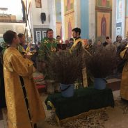 В канун Вербного воскресенья епископ Алексий совершил Всенощное бдение в соборе Максима Исповедника