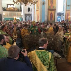 Епископ Алексий возглавил праздничную Литургию в день празднования Входа Господня во Иерусалим