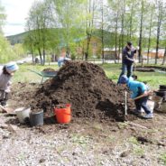 «…Жатвы много, а делателей мало…»