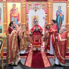 Епископ Алексий совершил Литургию в Спасо-Преображенском соборе