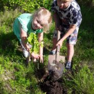 Акция «Украсим город»