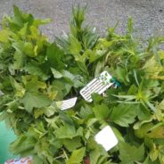 Подготовка к празднику «Троица»