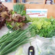 «Всегда любите друг друга во Христе Иисусе»