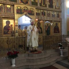 Епископ Алексий совершил Литургию в Соборе преподобного Максима Исповедника