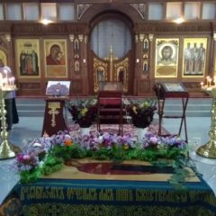 Великая Заступница для малых и больших, богатых и бедных, мудрых и  простых, больных и здоровых.