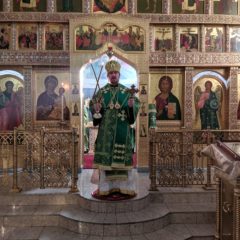 Епископ Алексий совершил Литургию в Соборе святого преподобного Максима Исповедника