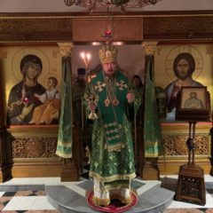 Епископ Алексий совершил ночную Литургию в Свято-Косьминской пустыни