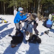 Прогулки по зимнему лесу