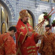 Митрополит Кирилл поздравил епископа Алексия с днем рождения