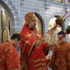 Митрополит Кирилл поздравил епископа Алексия с днем рождения