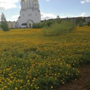В Серовской епархии подвели итоги фотоконкурса «Весть Воскресения»