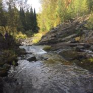 Художник — это тот, кто умеет замечать красоту окружающего мира