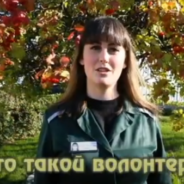 В ряде учреждений ГУФСИН развито волонтерское движение среди осужденных