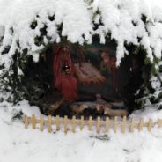 К празднику Рождества Христова воспитанники воскресной школы прихода во имя святых преподобных Зосимы и Савватия Соловецких начали готовится задолго до радостного события