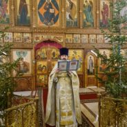 Епископ Алексий возглавил Литургию в праздник Рождества Христова