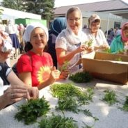 Украсили цветами Серафимо-Дивеевскую обитель: прихожани Казанского храма г.Карпинска съездили в паломническую поездку