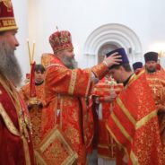 Поздравляем с заслуженной наградой!