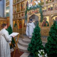 С Рождеством Христовым! (г. Краснотурьинск)