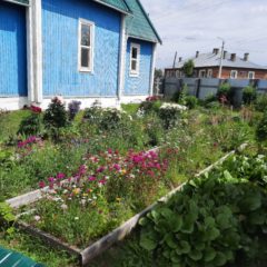 Благолепие приходской территории п. Сосьва.