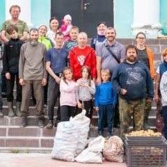 Уборка картофеля (г. Краснотурьинск)