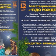 В кафедральном соборе в честь Преображения Господня города Серова стартовала ежегодная благотворительная акция по сбору сладостей «Чудо Рождества»